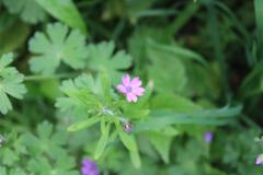 20200531105216