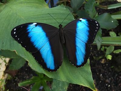 19.12.2015 Botanischer Garten